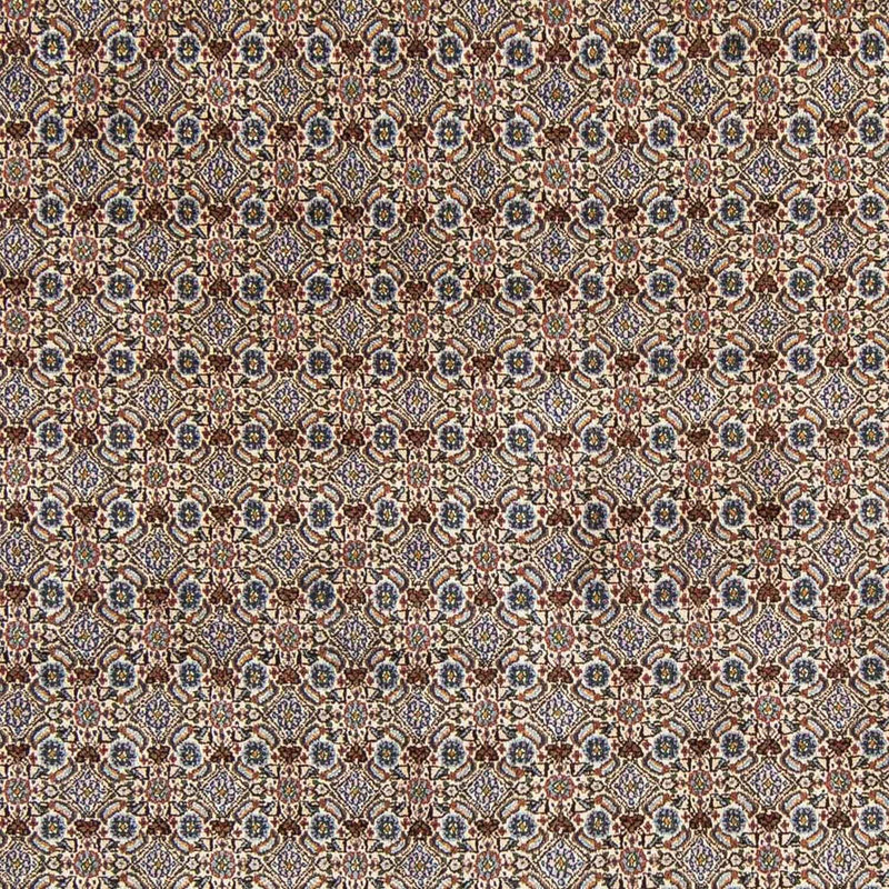 Tappeto Persero - Classico - 303 x 198 cm - beige