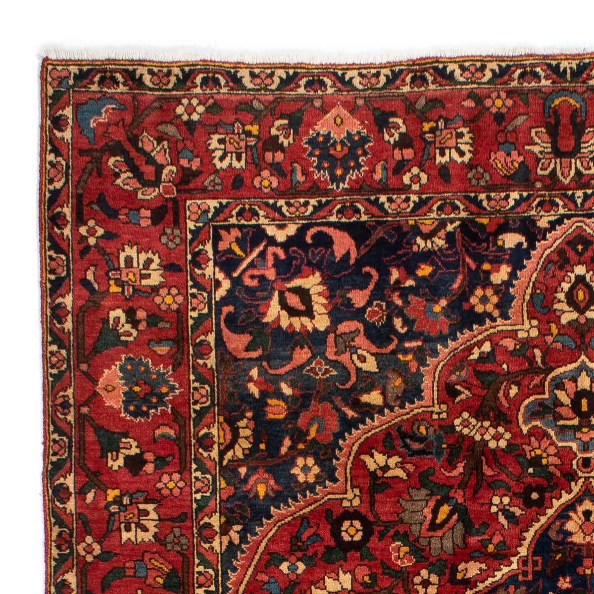 Bakhtiari Tappeto 209x310cm - Tappeto persiano