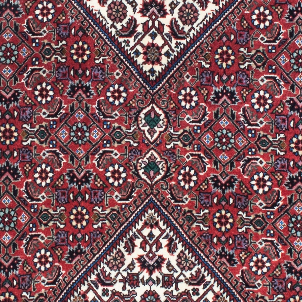 Tappeto corsia Tappeto Persero - Bidjar - 208 x 73 cm - rosso