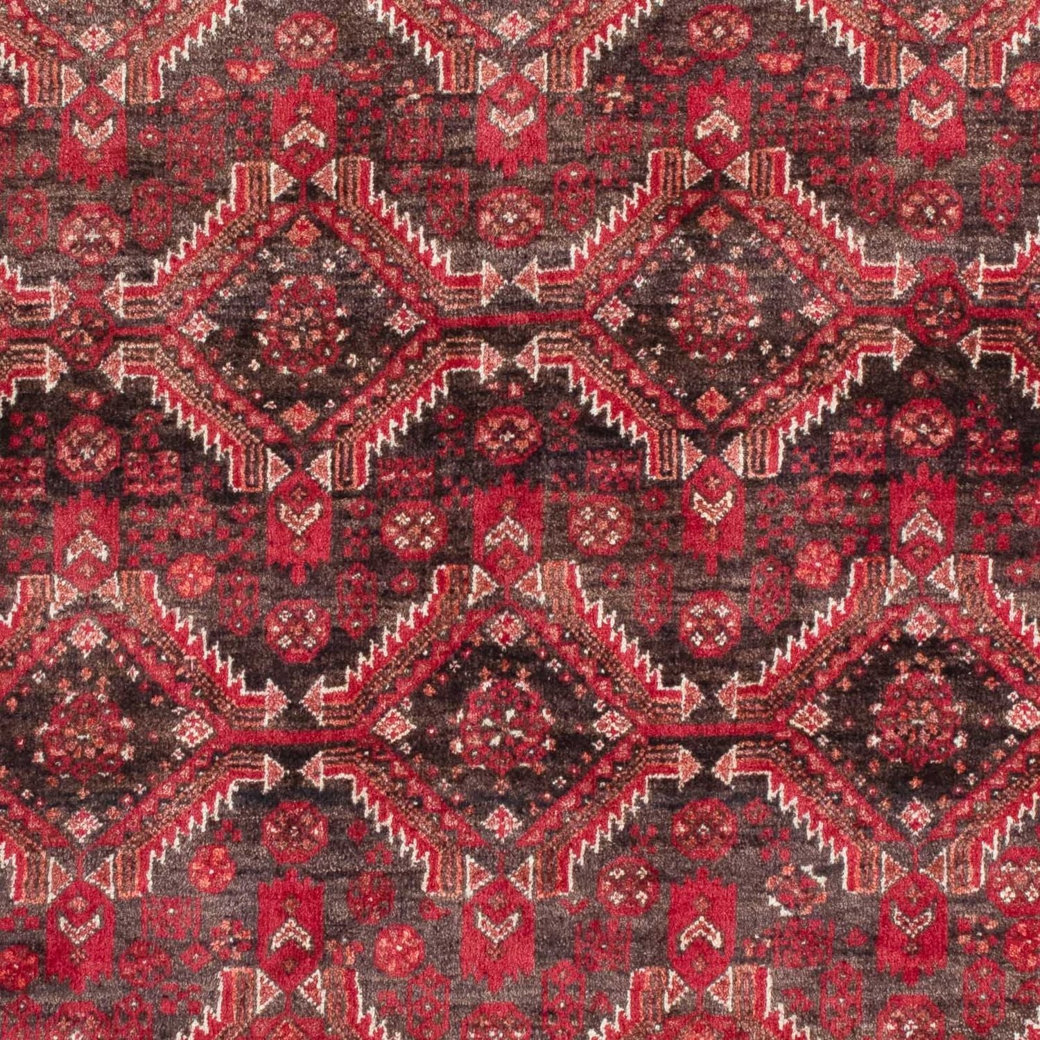 Tappeto corsia Tappeto Belutsch - 195 x 99 cm - rosso scuro