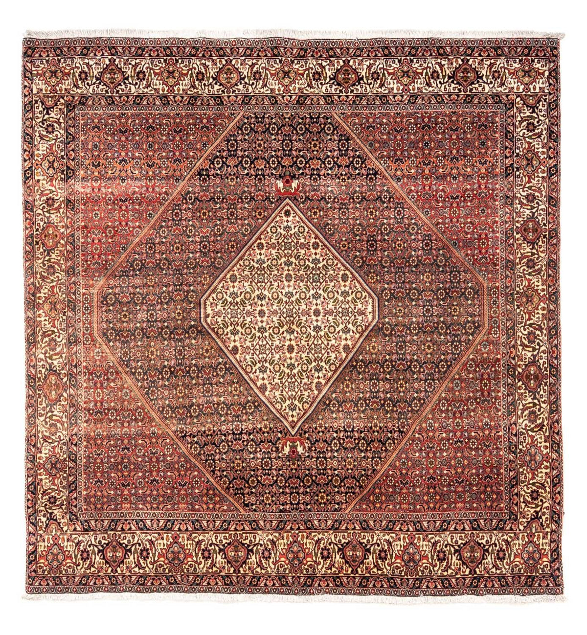 Tappeto Persero - Bidjar quadrato  - 208 x 198 cm - rosso