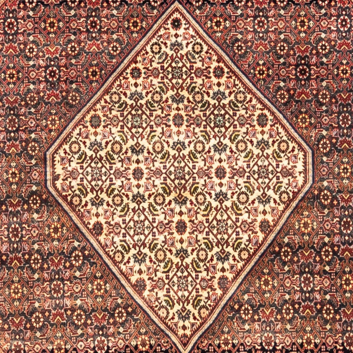 Tappeto Persero - Bidjar quadrato  - 208 x 198 cm - rosso