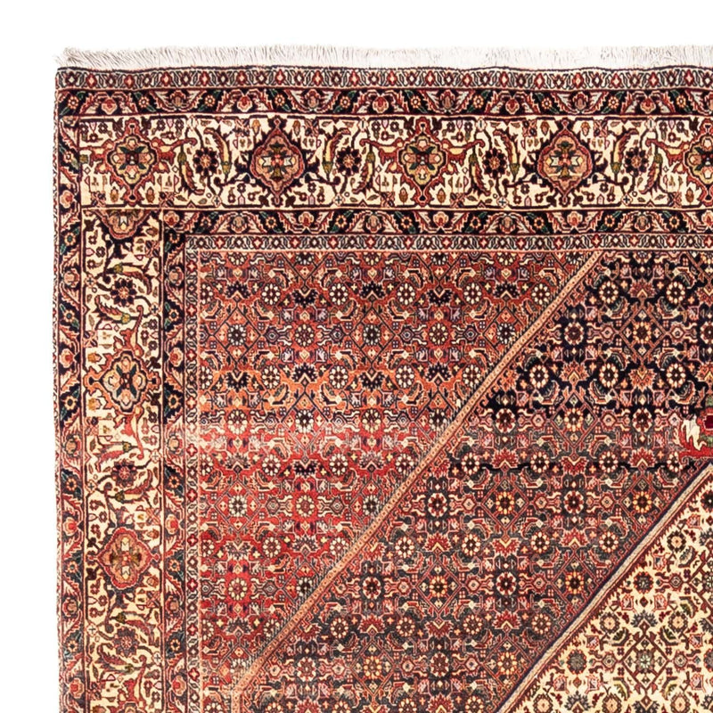 Tappeto Persero - Bidjar quadrato  - 208 x 198 cm - rosso