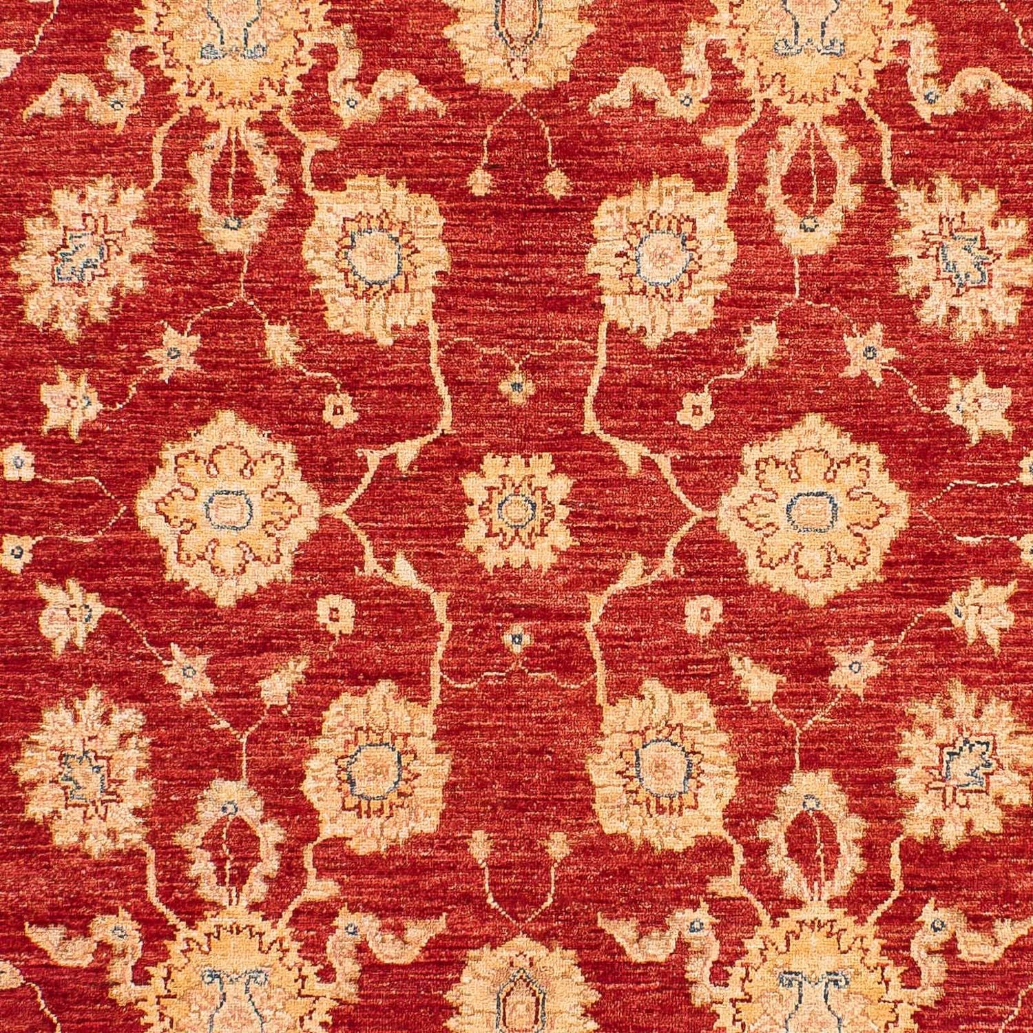 Tappeto Ziegler - 245 x 163 cm - rosso