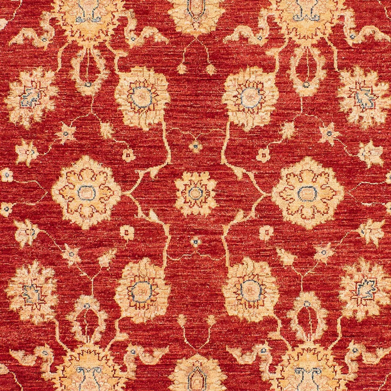 Tappeto Ziegler - 245 x 163 cm - rosso