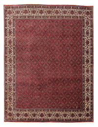 Tappeto Persero - Bidjar - 300 x 253 cm - rosso scuro