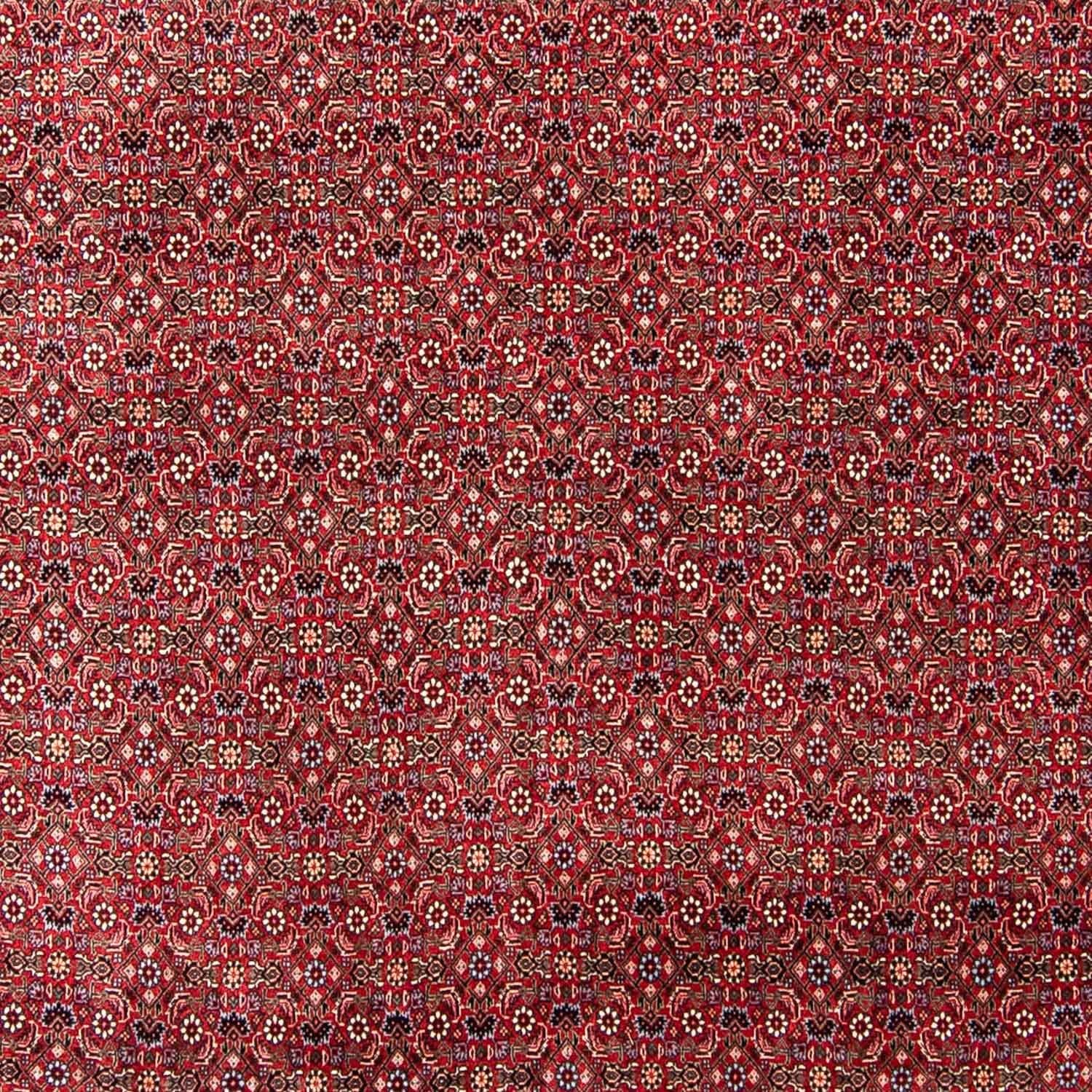 Tappeto Persero - Bidjar - 300 x 253 cm - rosso scuro