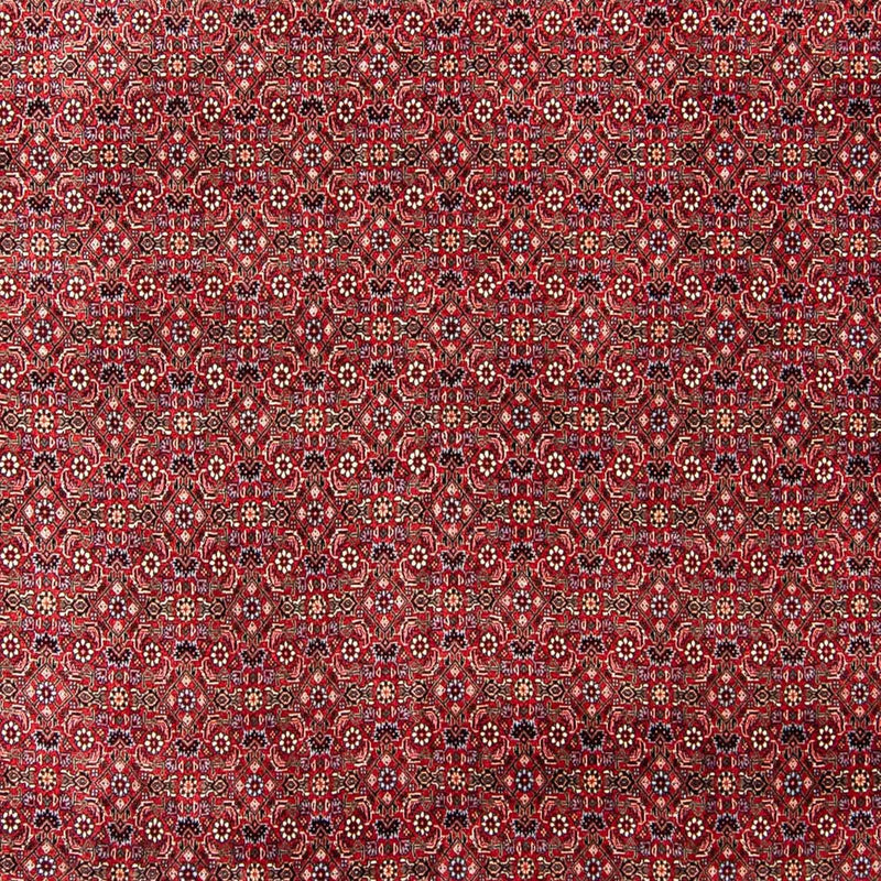 Tappeto Persero - Bidjar - 300 x 253 cm - rosso scuro