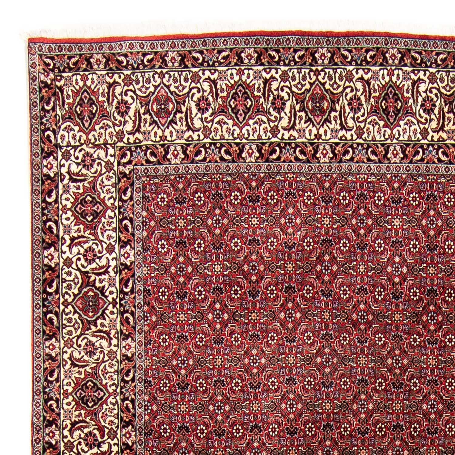 Tappeto Persero - Bidjar - 300 x 253 cm - rosso scuro