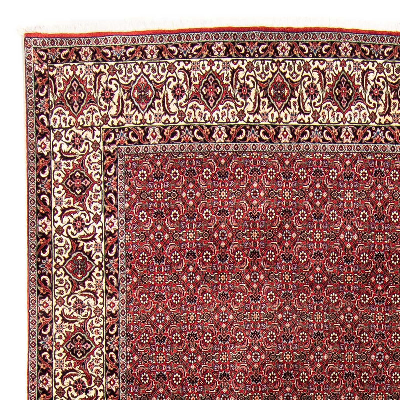 Tappeto Persero - Bidjar - 300 x 253 cm - rosso scuro