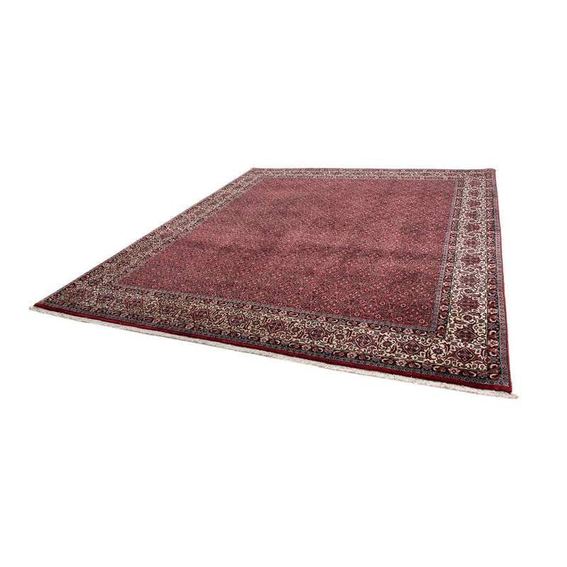 Tappeto Persero - Bidjar - 300 x 253 cm - rosso scuro