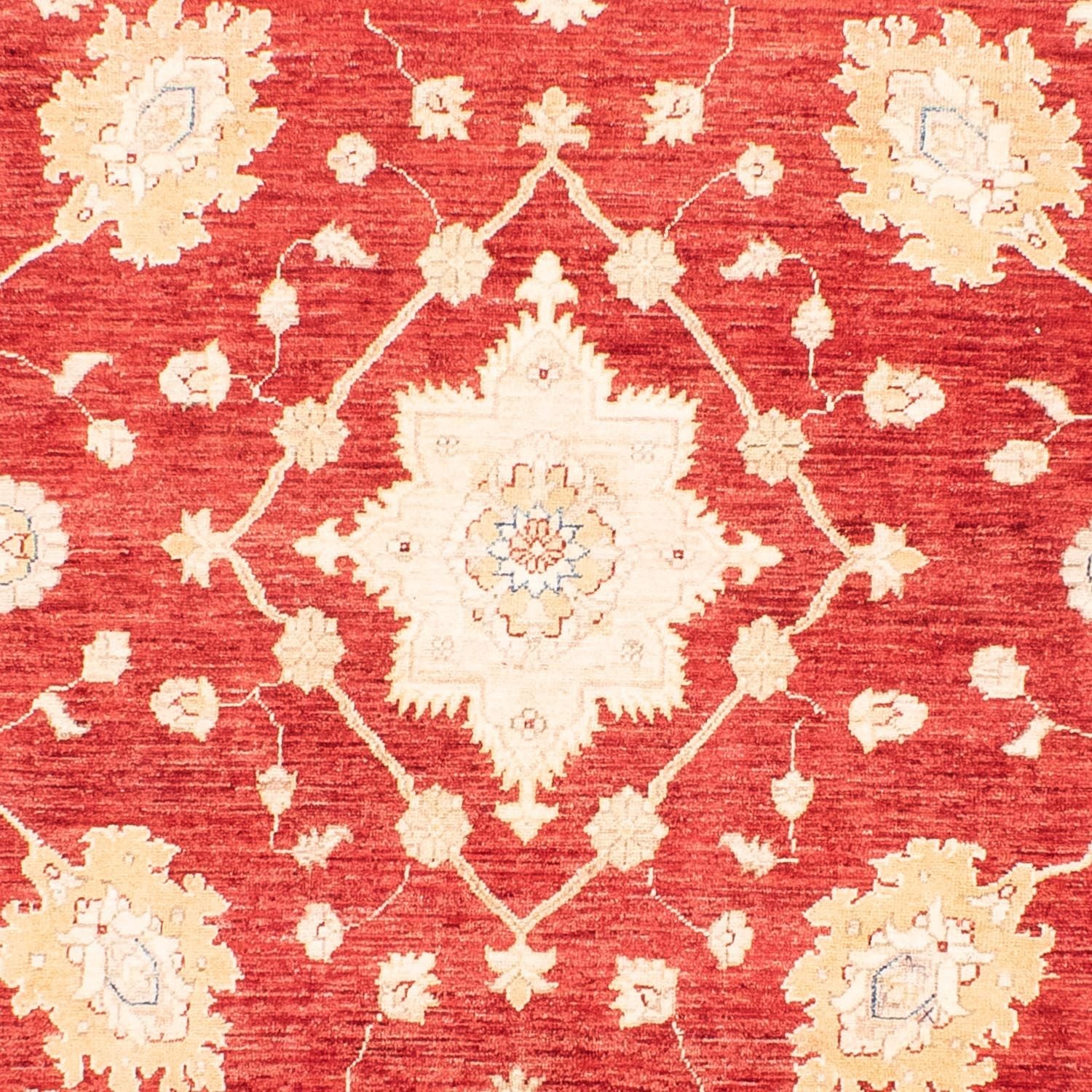 Tappeto Ziegler - 310 x 243 cm - rosso