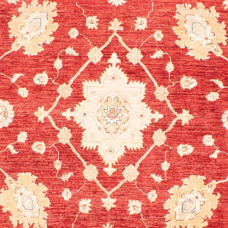 Tappeto Ziegler - 310 x 243 cm - rosso