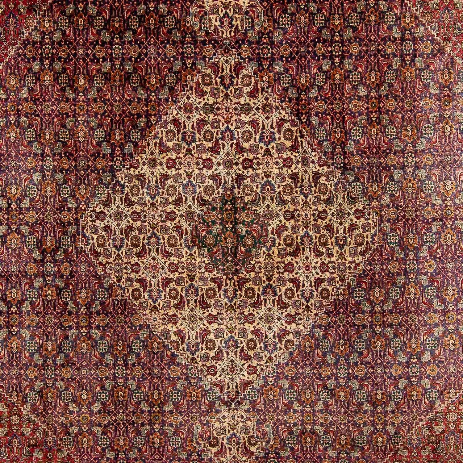 Tappeto Persero - Tabriz - 392 x 310 cm - multicolore