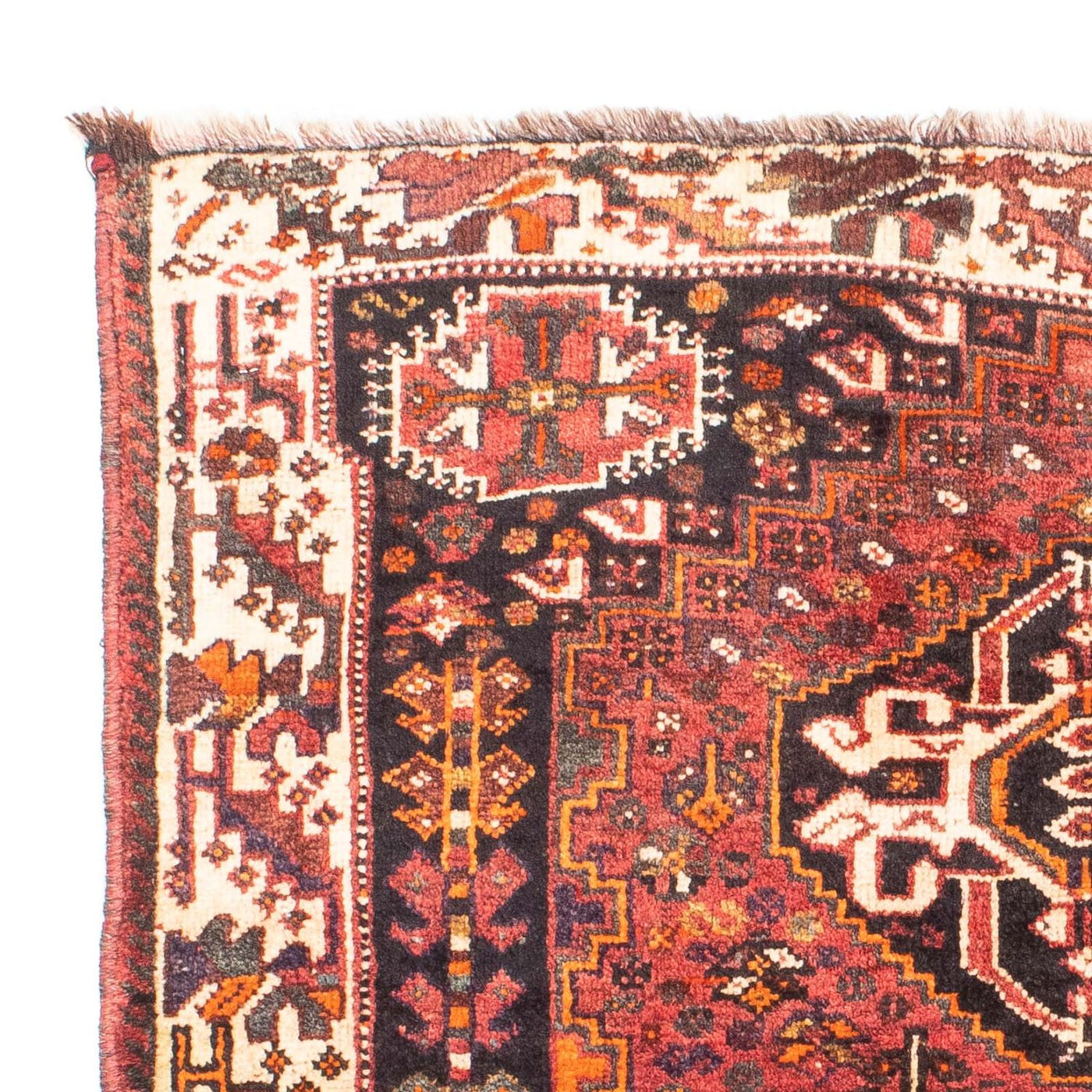 Shiraz Tappeto 152x114cm - Tappeto persiano