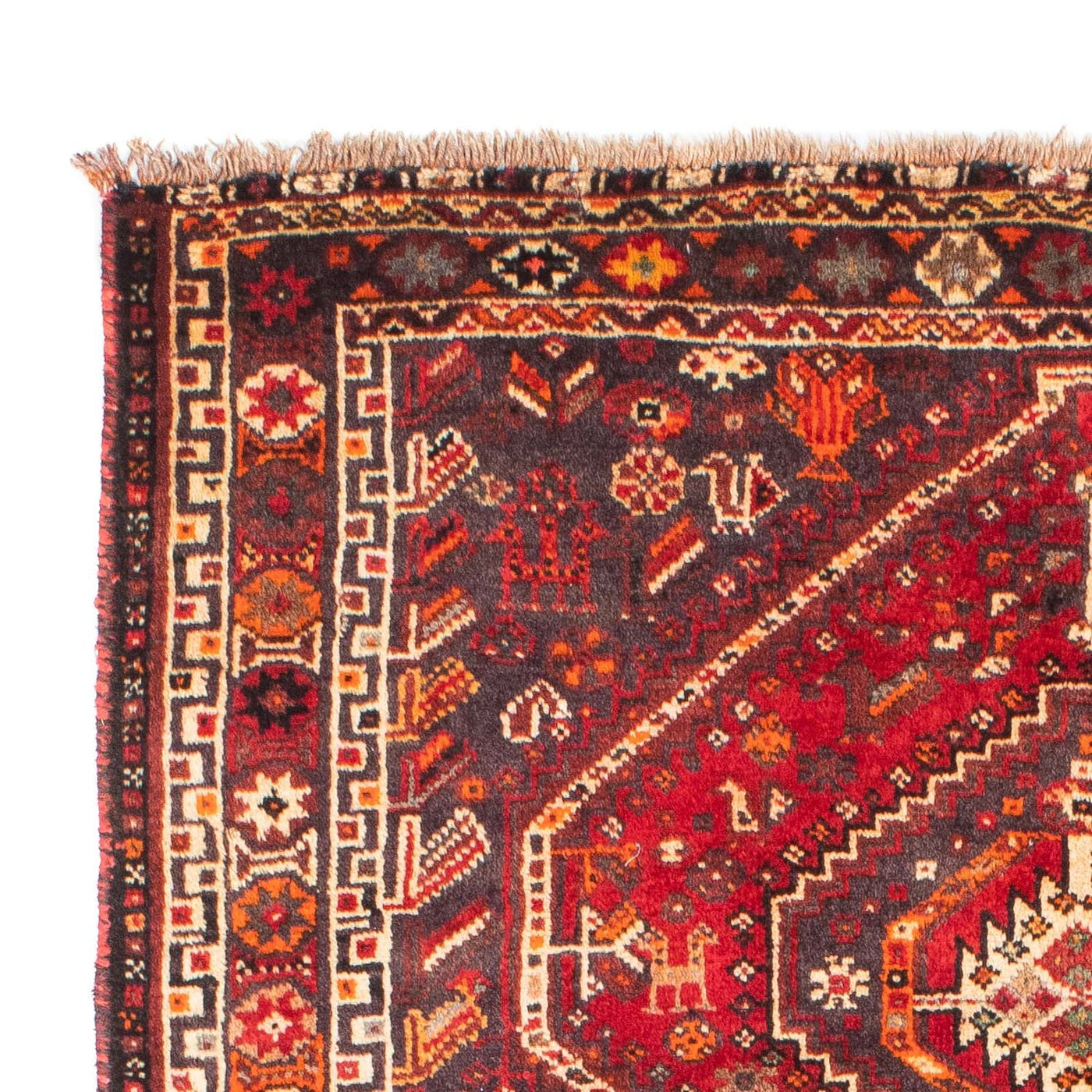 Shiraz Tappeto 170x116cm - Tappeto persiano