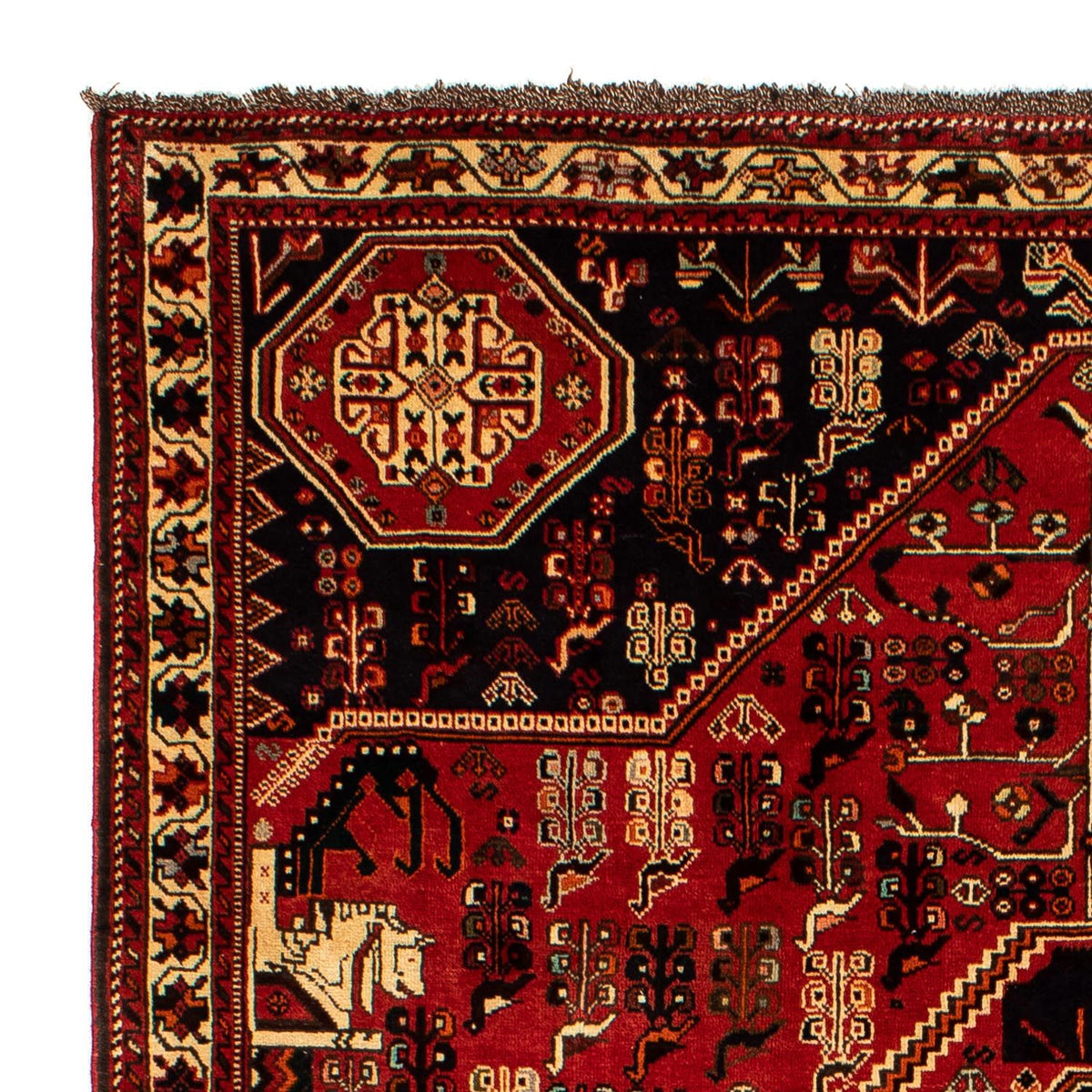 Shiraz Tappeto 208x290cm - Tappeto persiano