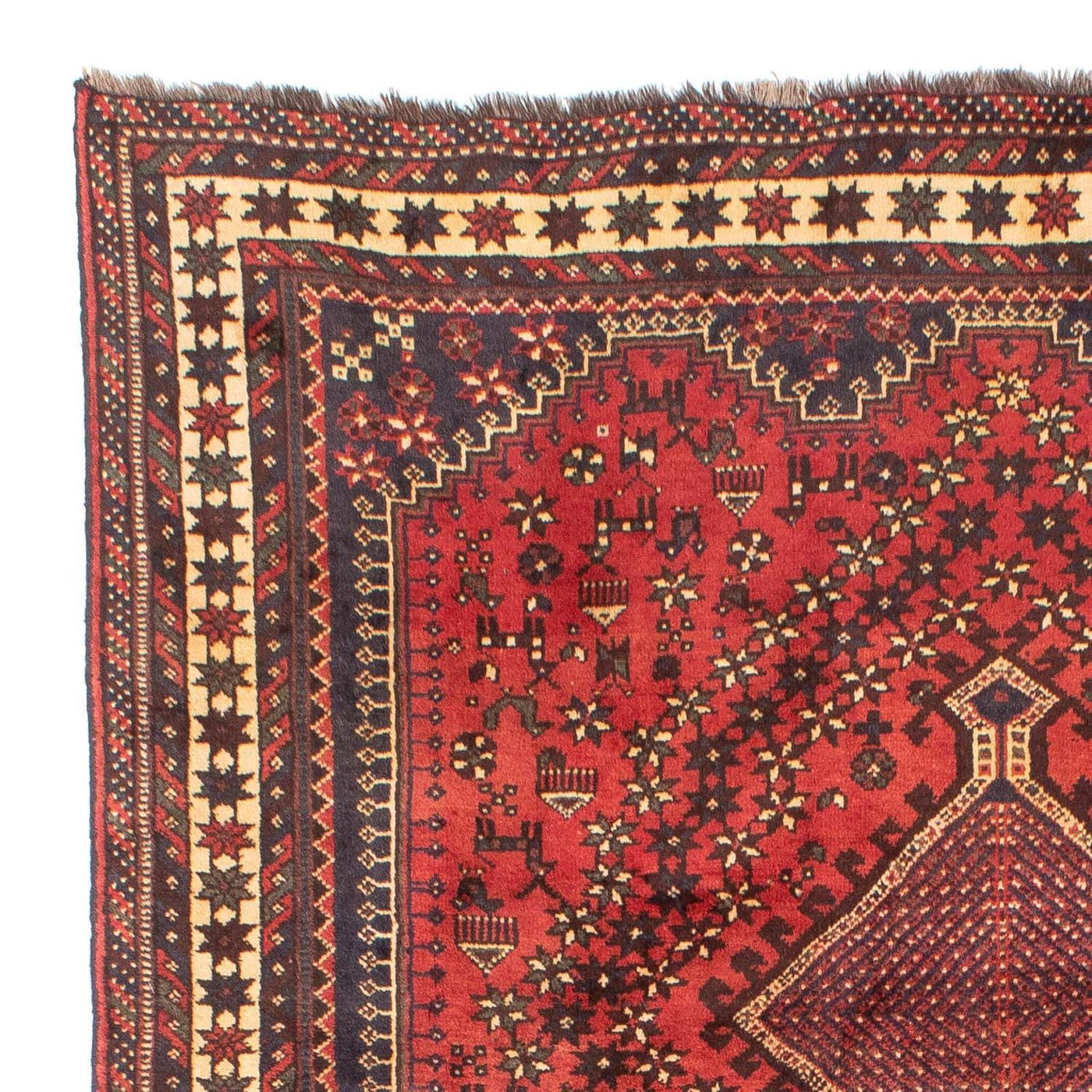Shiraz Tappeto 290x205cm - Tappeto persiano