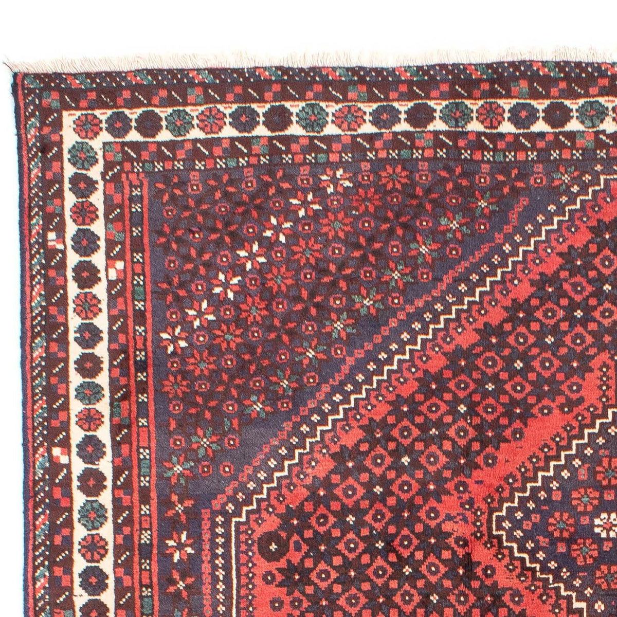 Shiraz Tappeto 203x275cm - Tappeto persiano