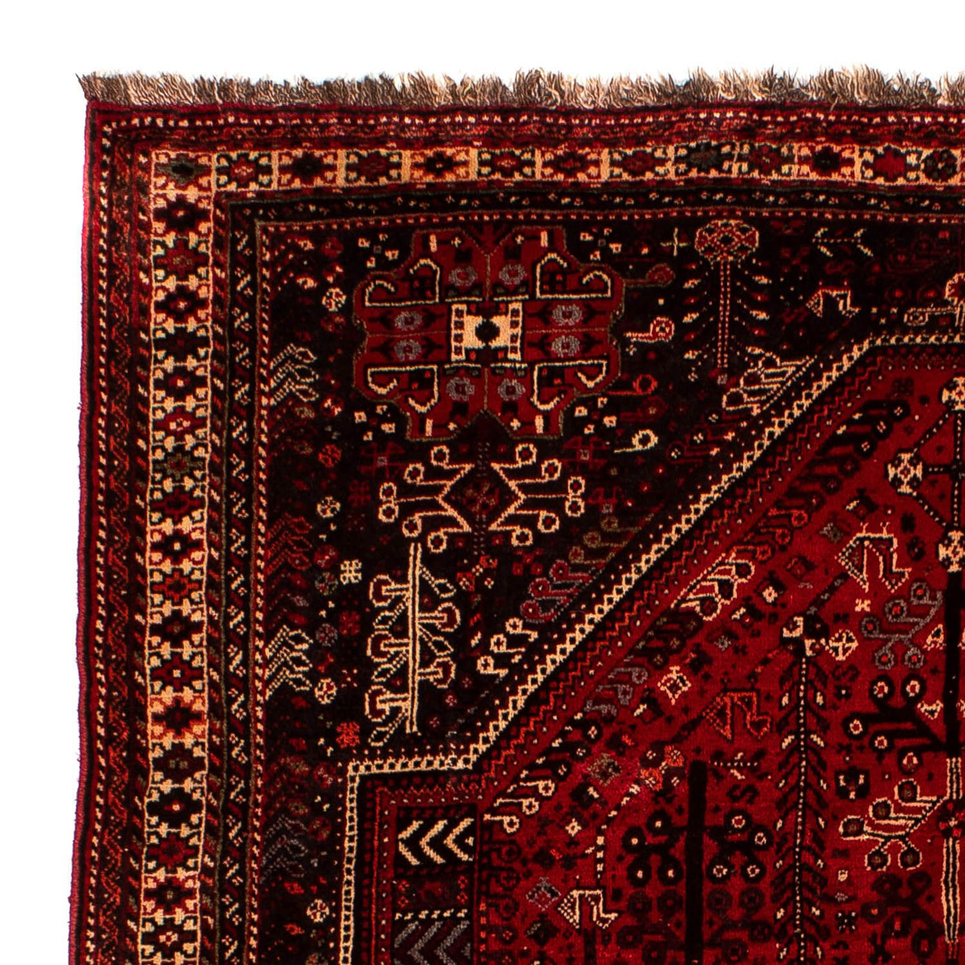 Shiraz Tappeto 245x190cm - Tappeto persiano
