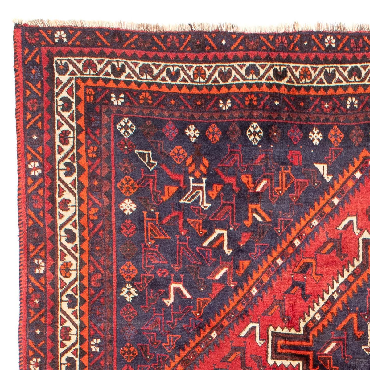 Shiraz Tappeto 215x300cm - Tappeto persiano