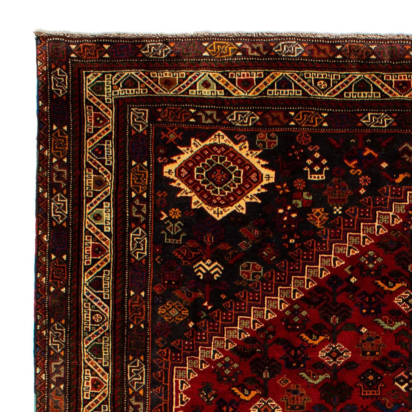 Shiraz Tappeto 295x210cm - Tappeto persiano