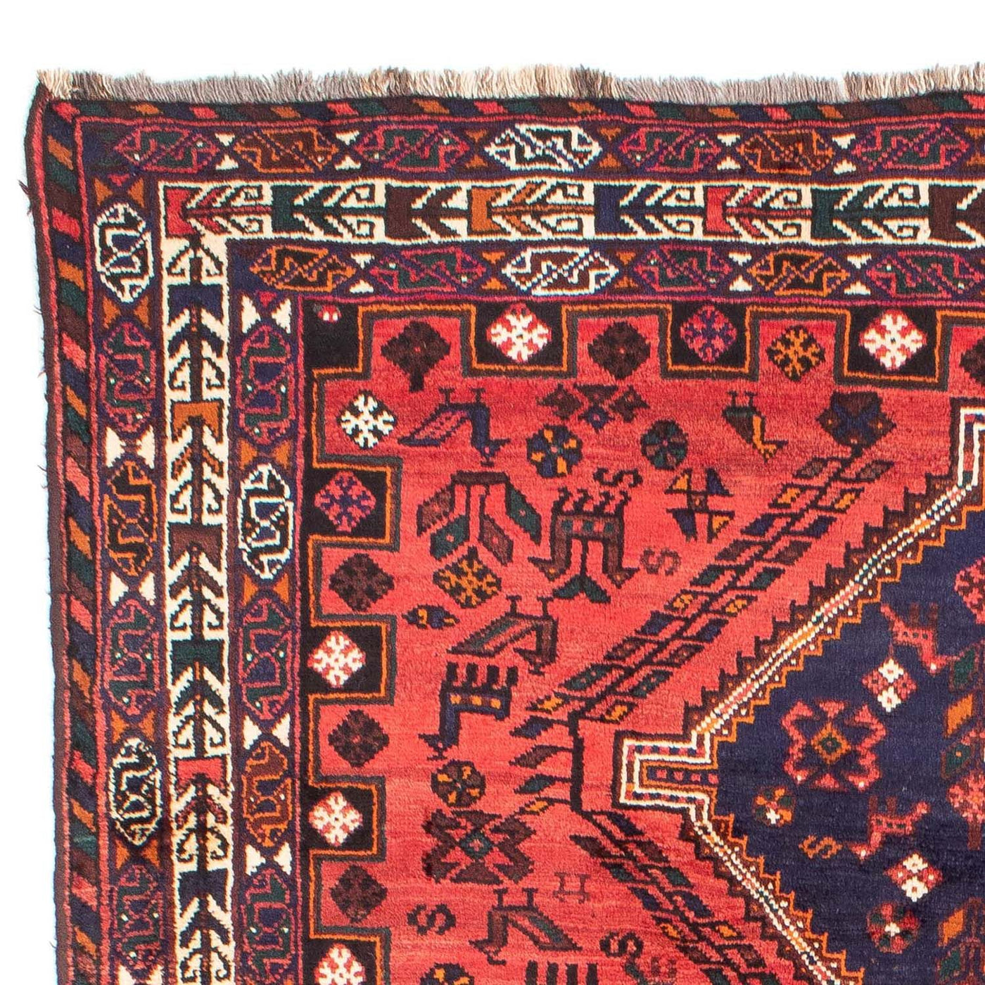 Shiraz Tappeto 296x210cm - Tappeto persiano