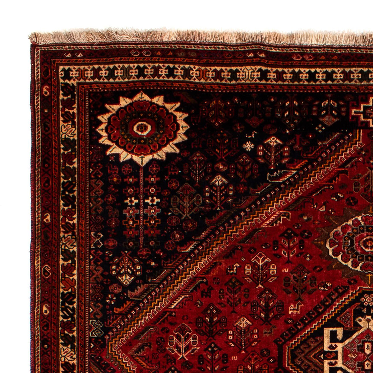 Shiraz Tappeto 225x322cm - Tappeto persiano