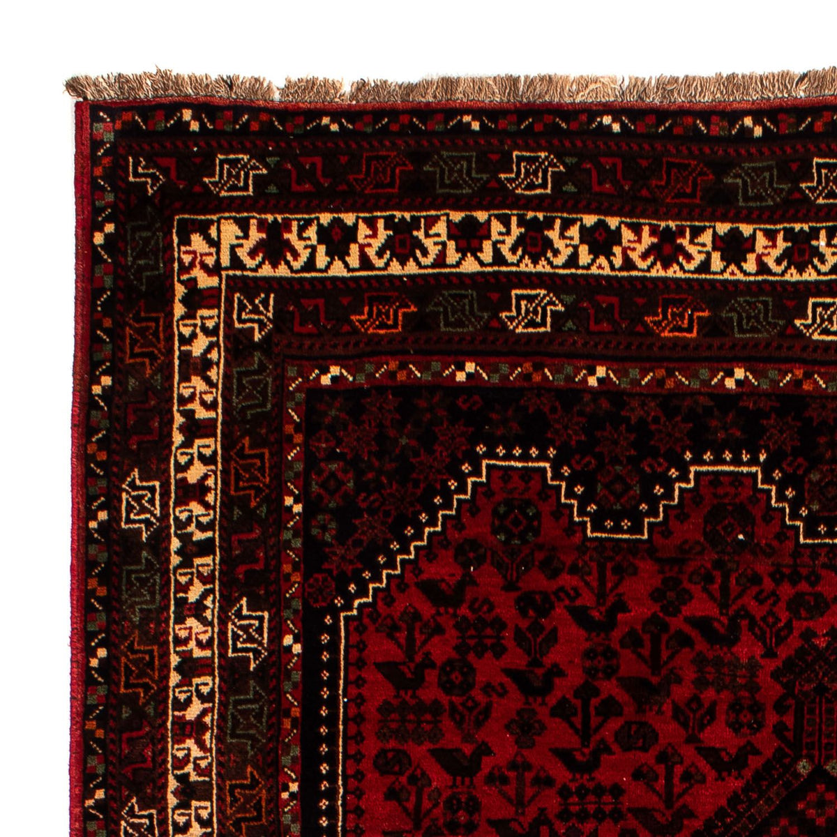 Shiraz Tappeto 200x295cm - Tappeto persiano