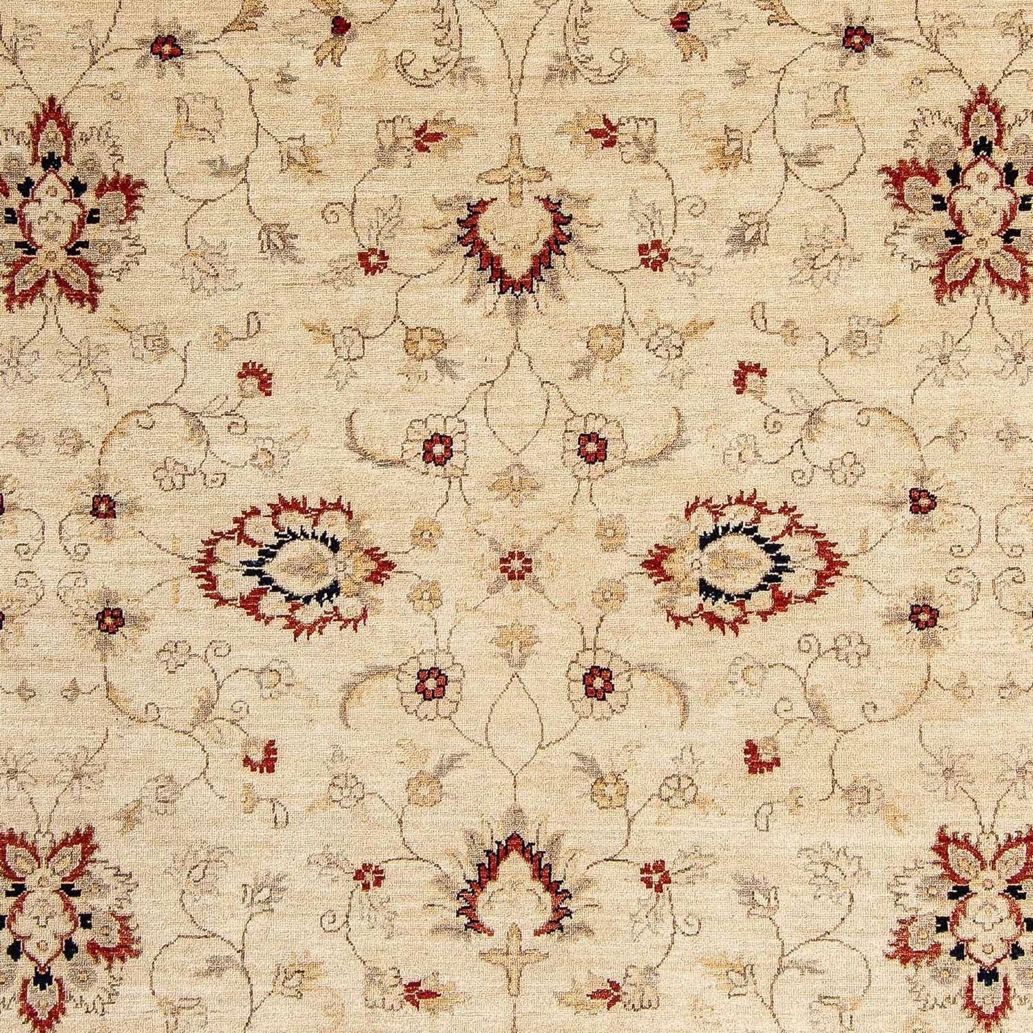 Tappeto Ziegler - 297 x 246 cm - beige