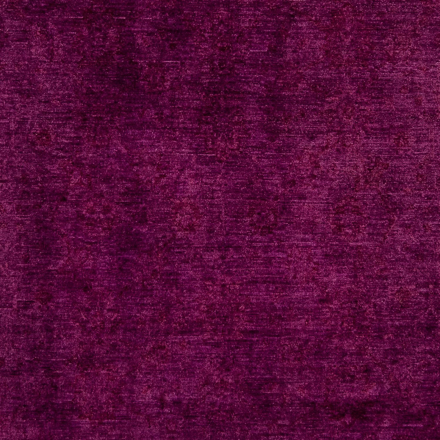 Tappeto Ziegler - 379 x 263 cm - viola