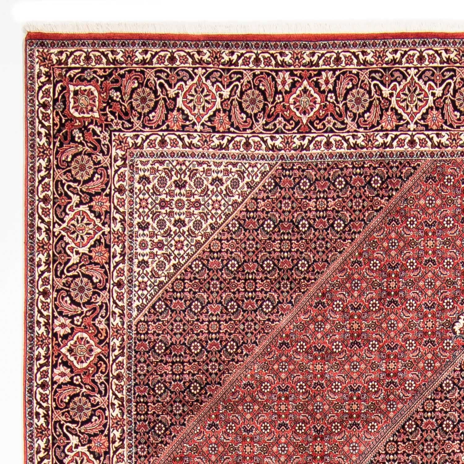 Tappeto Persero - Bidjar - 310 x 250 cm - rosso