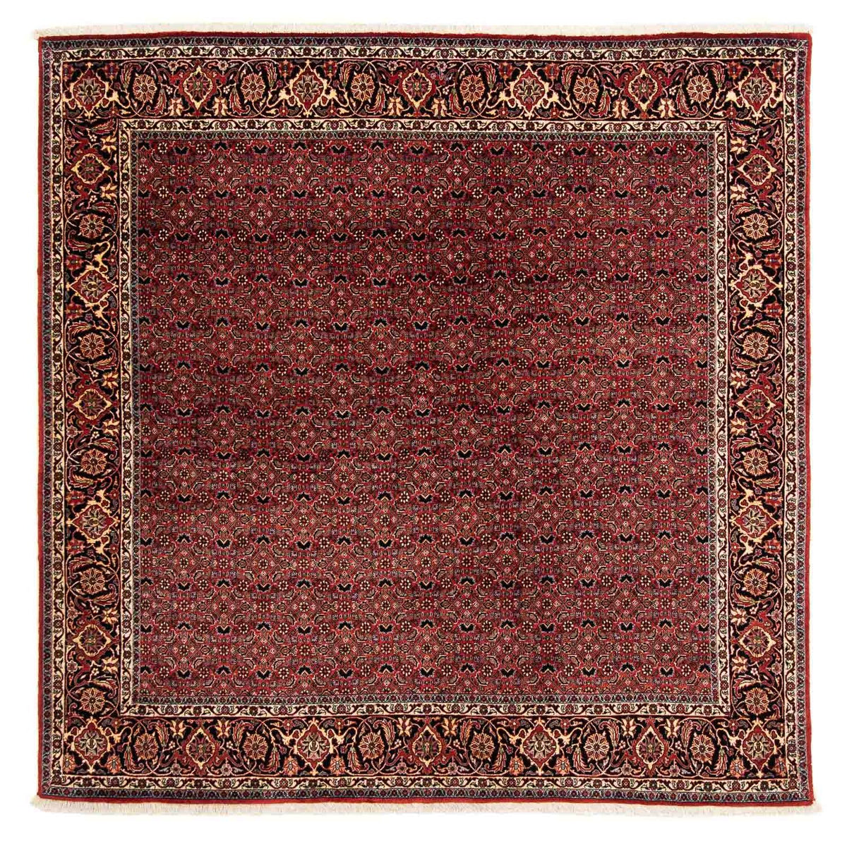 Tappeto Persero - Bidjar quadrato  - 200 x 197 cm - rosso scuro