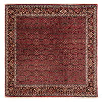 Tappeto Persero - Bidjar quadrato  - 200 x 197 cm - rosso scuro