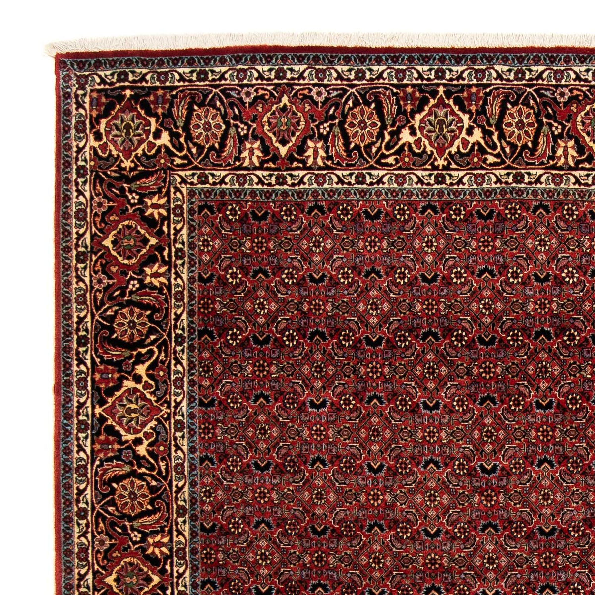 Tappeto Persero - Bidjar quadrato  - 200 x 197 cm - rosso scuro