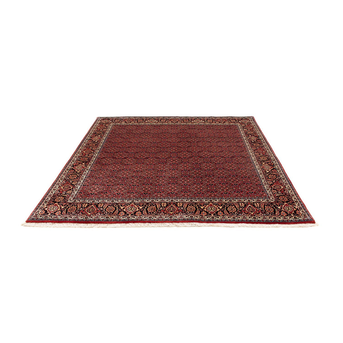 Tappeto Persero - Bidjar quadrato  - 200 x 197 cm - rosso scuro