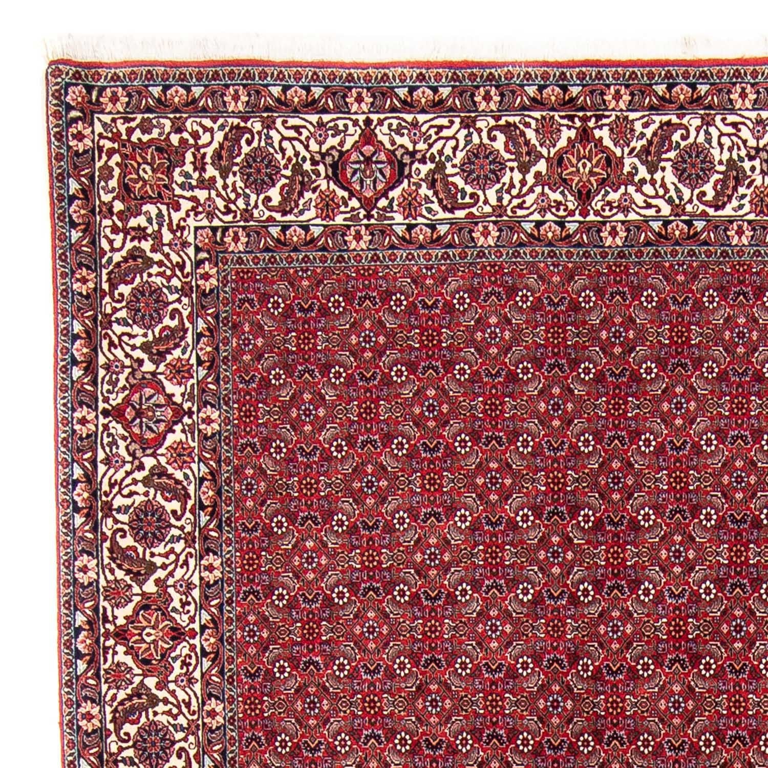 Tappeto Persero - Bidjar - 297 x 247 cm - rosso