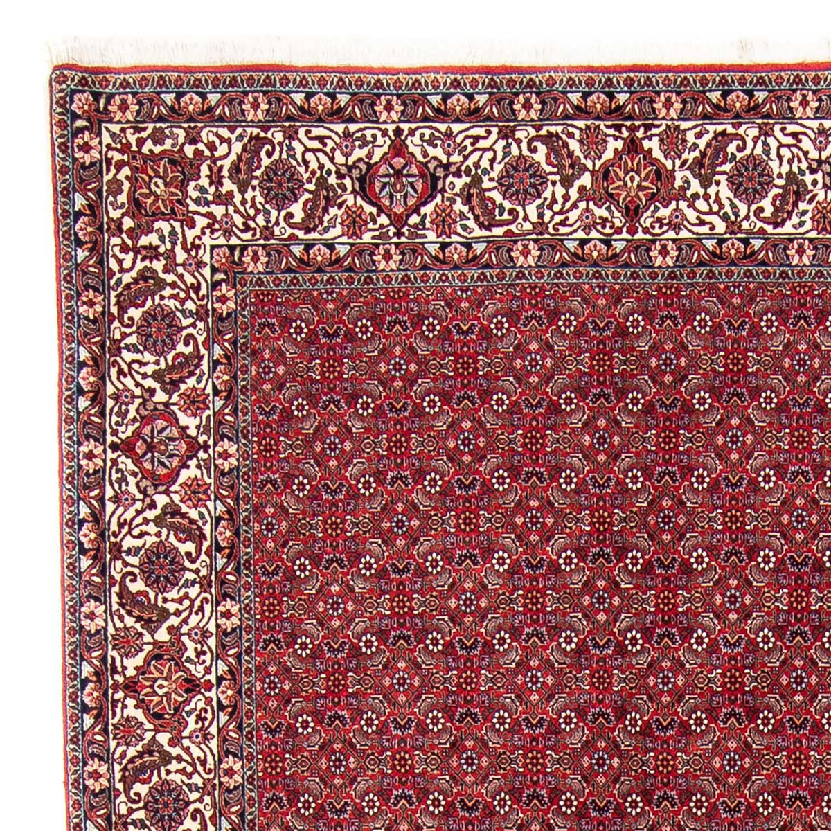 Bidjar Tappeto 247x297cm - Tappeto persiano