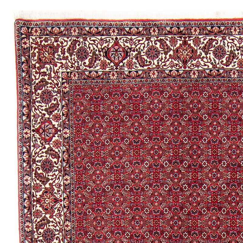 Tappeto Persero - Bidjar - 297 x 247 cm - rosso