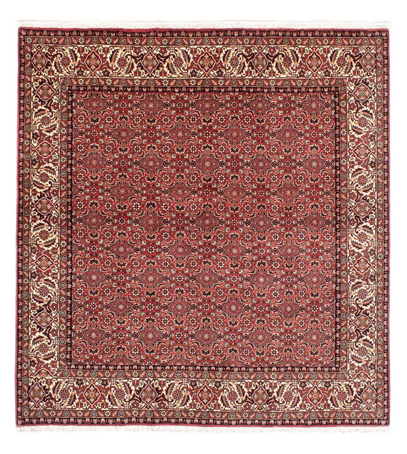 Tappeto Persero - Bidjar quadrato  - 208 x 200 cm - rosso chiaro
