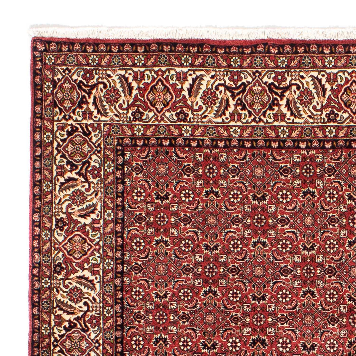 Bidjar Tappeto 200x208cm - Tappeto persiano