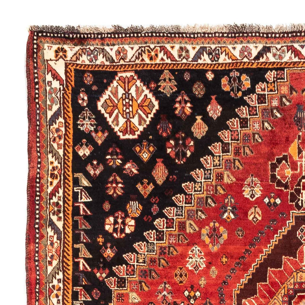 Shiraz Tappeto 170x255cm - Tappeto persiano