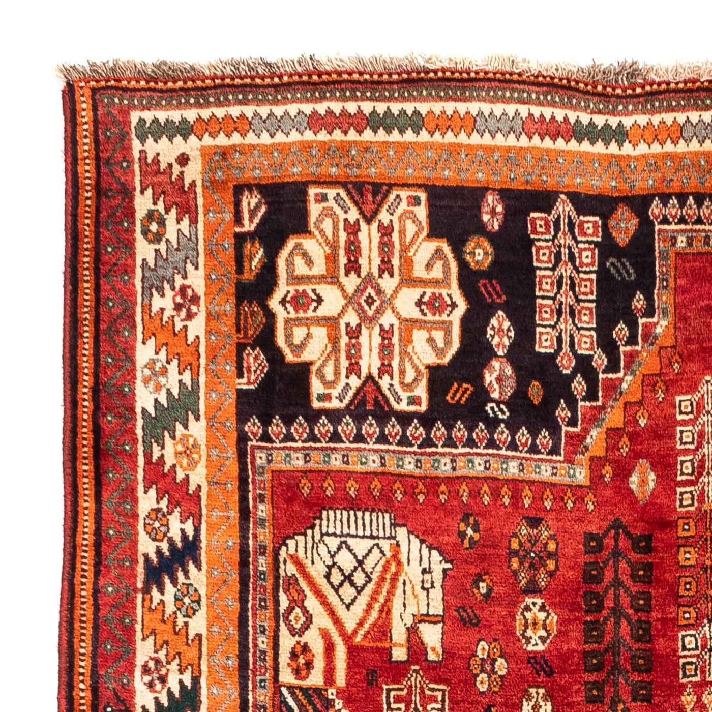 Shiraz Tappeto 240x167cm - Tappeto persiano