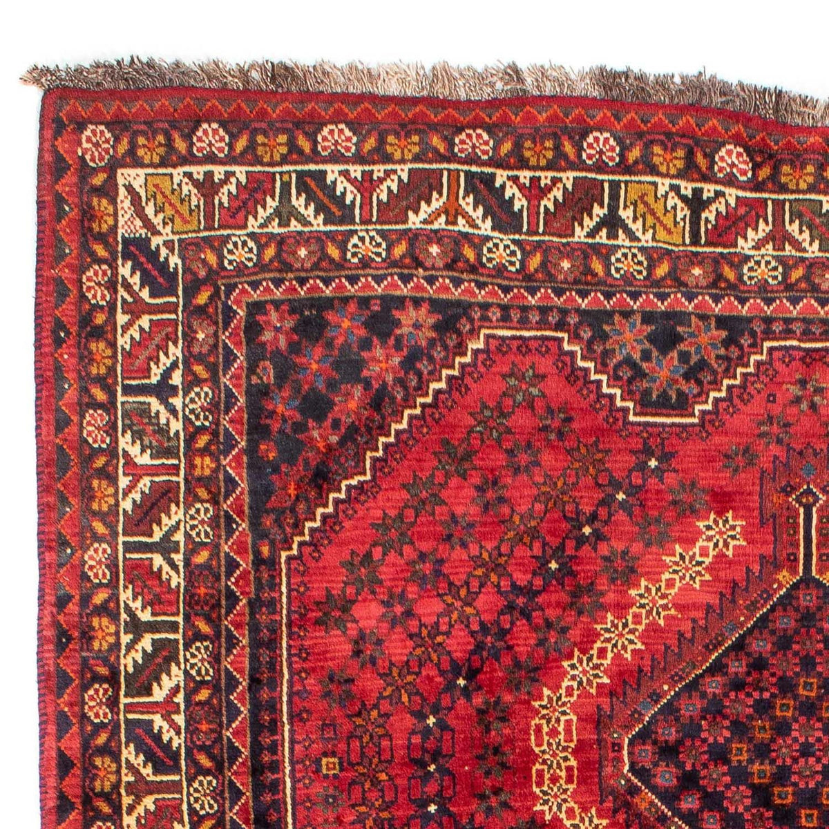 Shiraz Tappeto 208x298cm - Tappeto persiano