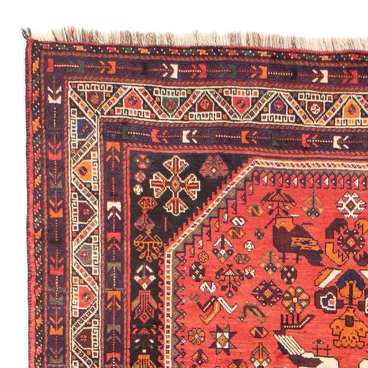 Shiraz Tappeto 205x305cm - Tappeto persiano