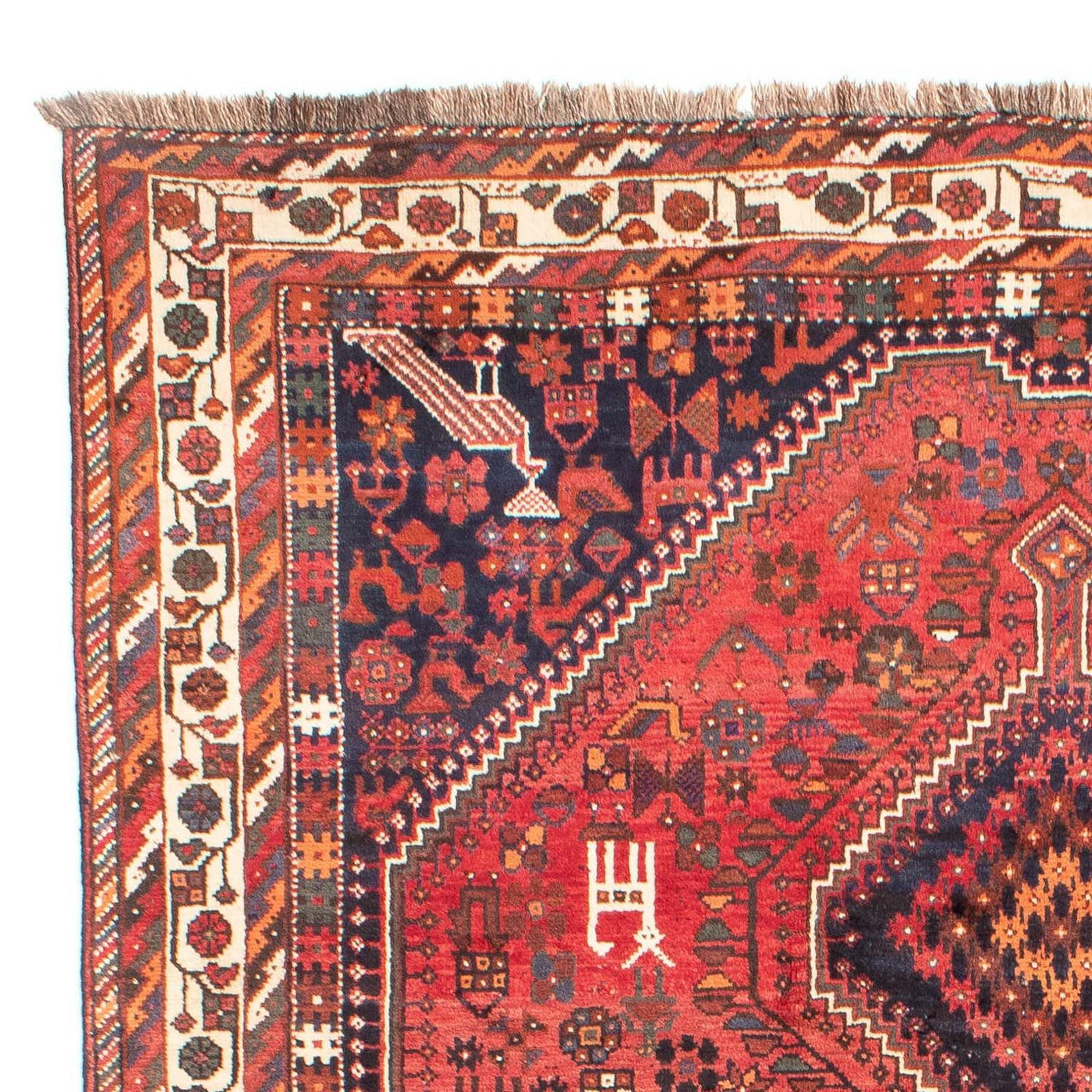Shiraz Tappeto 308x206cm - Tappeto persiano