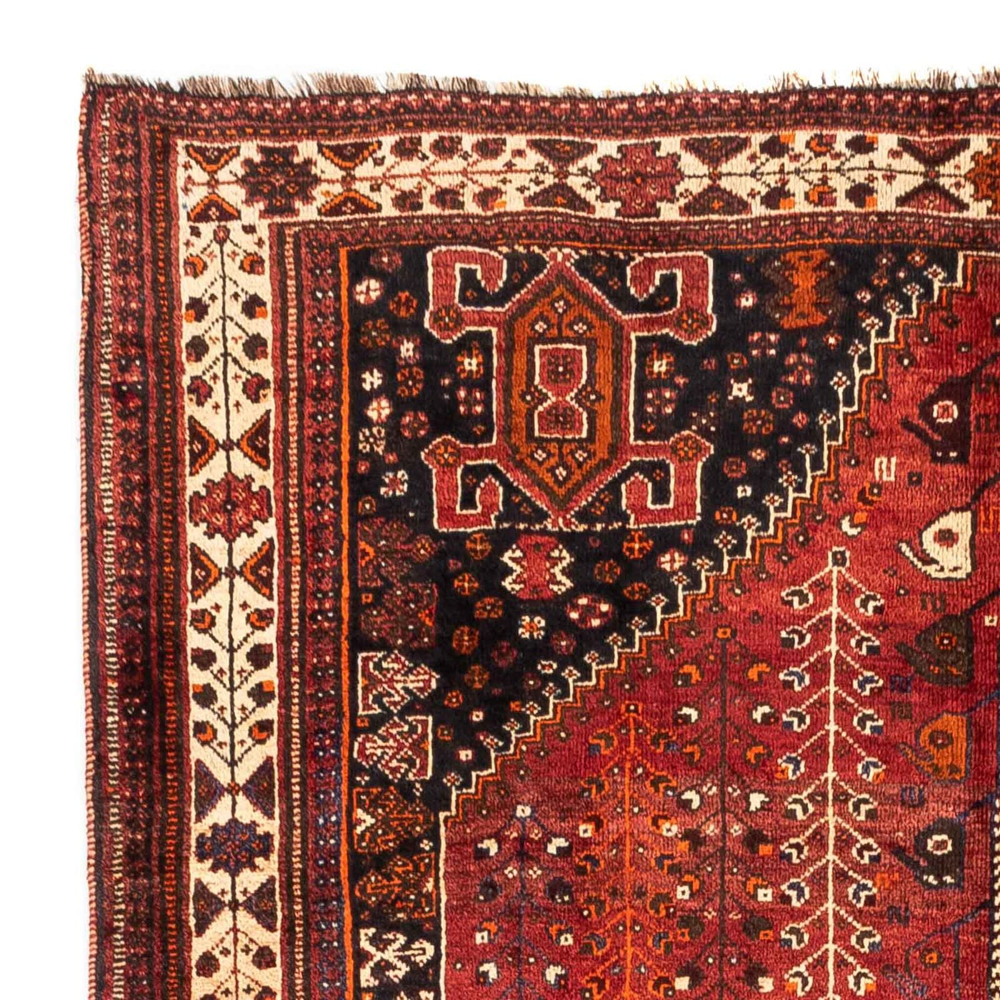 Shiraz Tappeto 258x163cm - Tappeto persiano