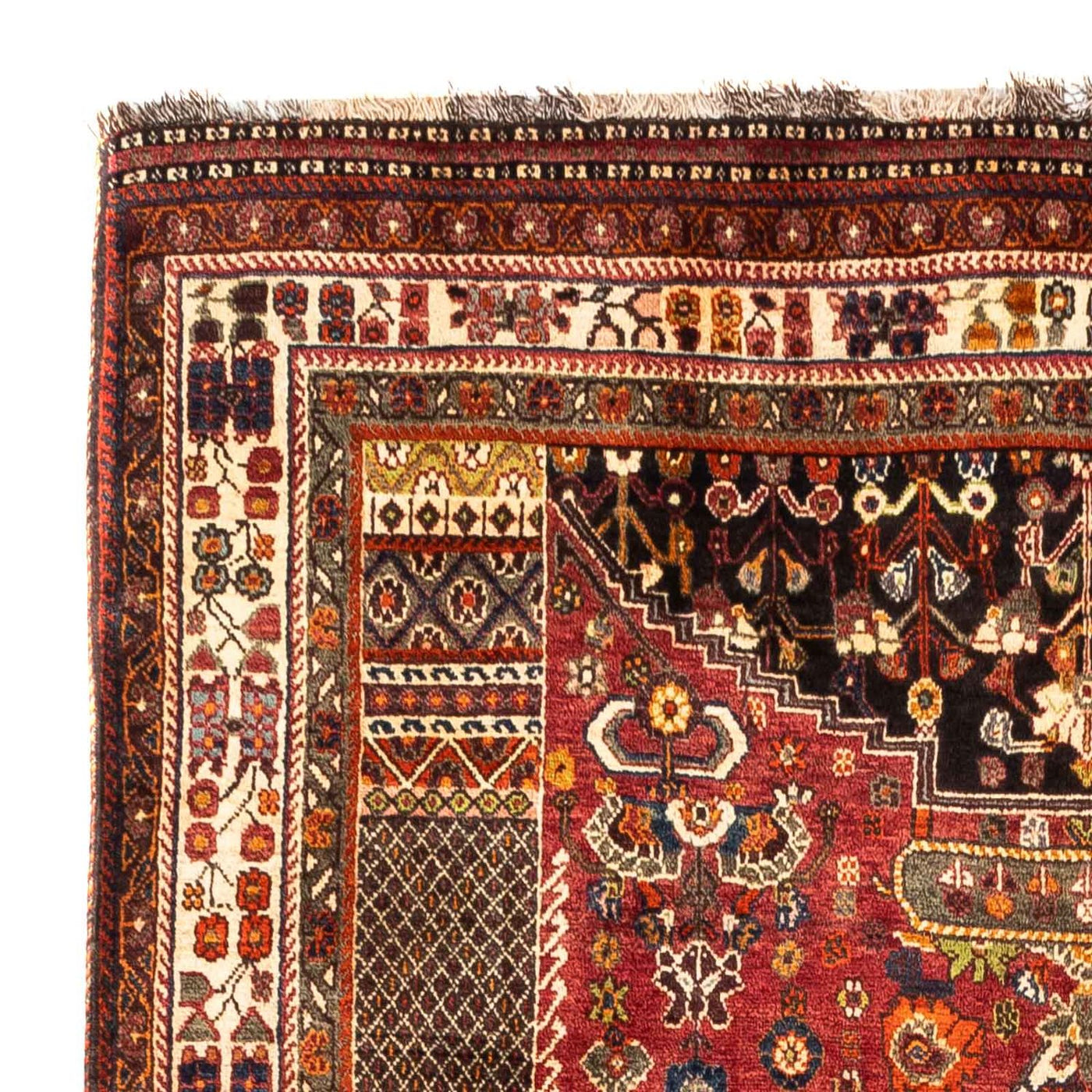 Shiraz Tappeto 243x170cm - Tappeto persiano