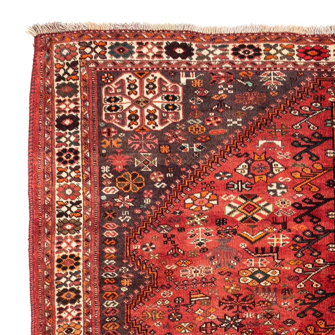 Shiraz Tappeto 243x174cm - Tappeto persiano