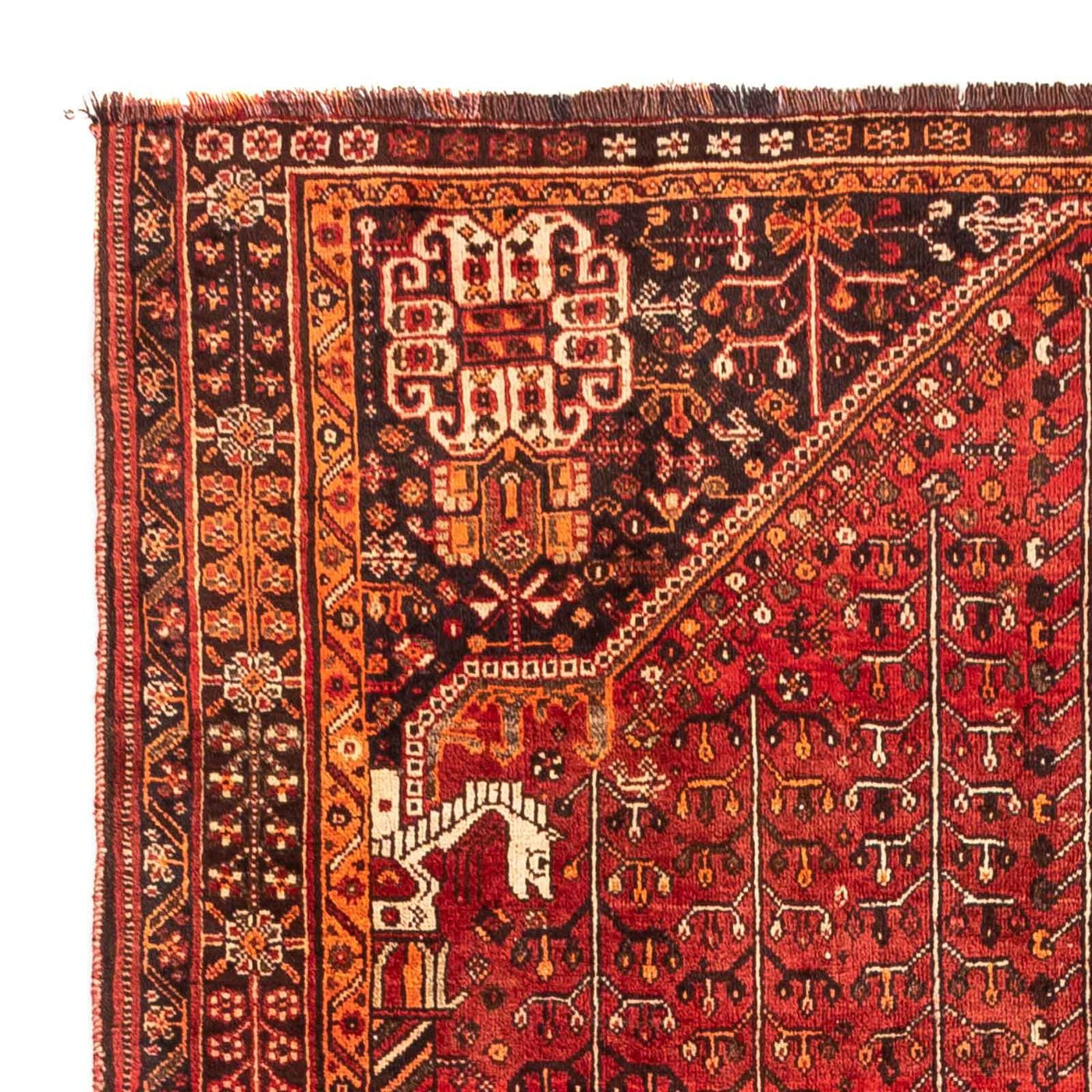 Shiraz Tappeto 240x158cm - Tappeto persiano